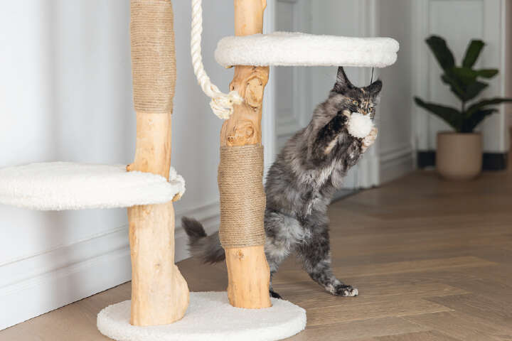 Designed by Lotte Kratzbaum Vanja